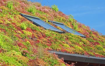 Winkfield Row living roof systems